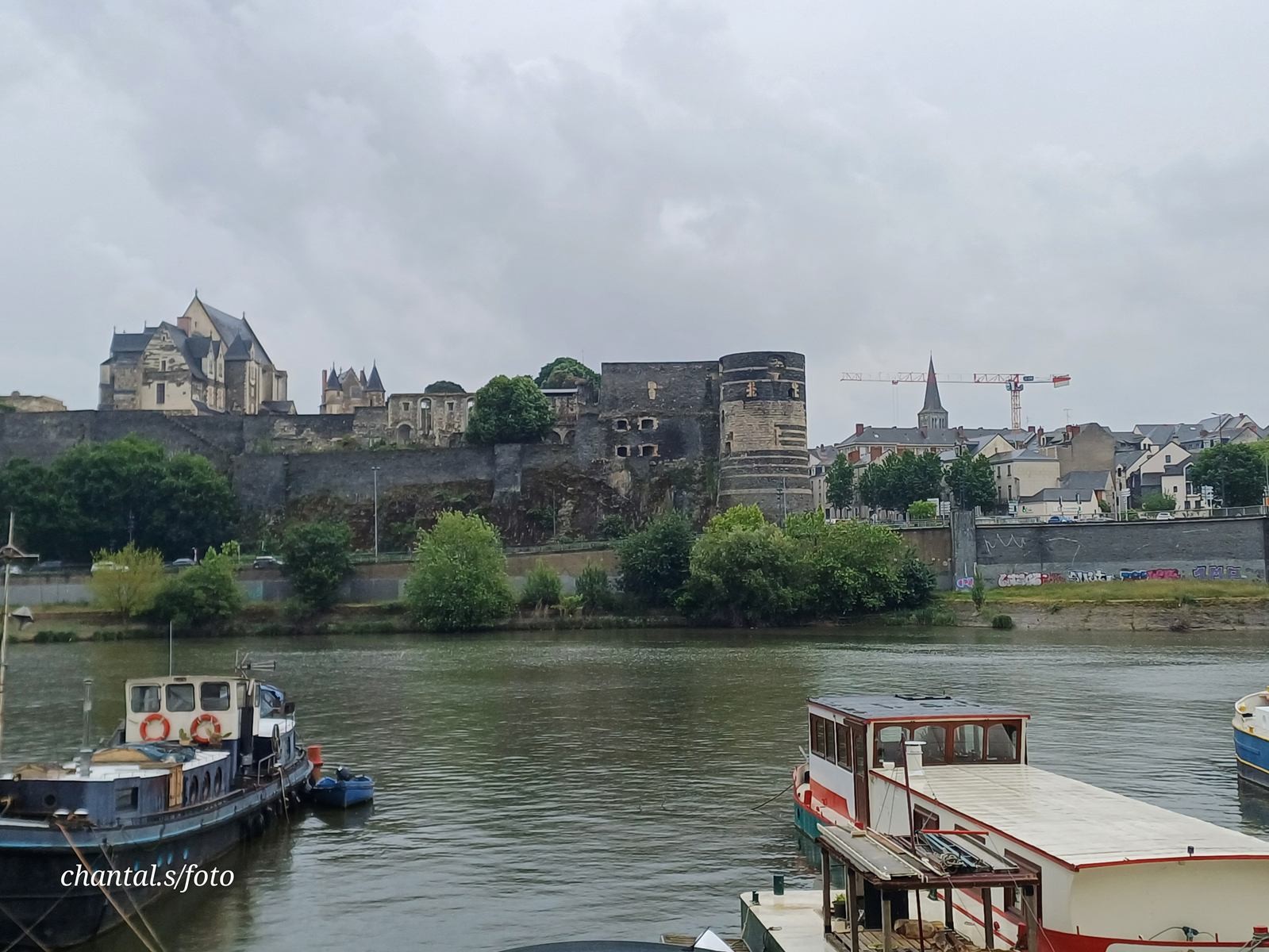 Angers 113