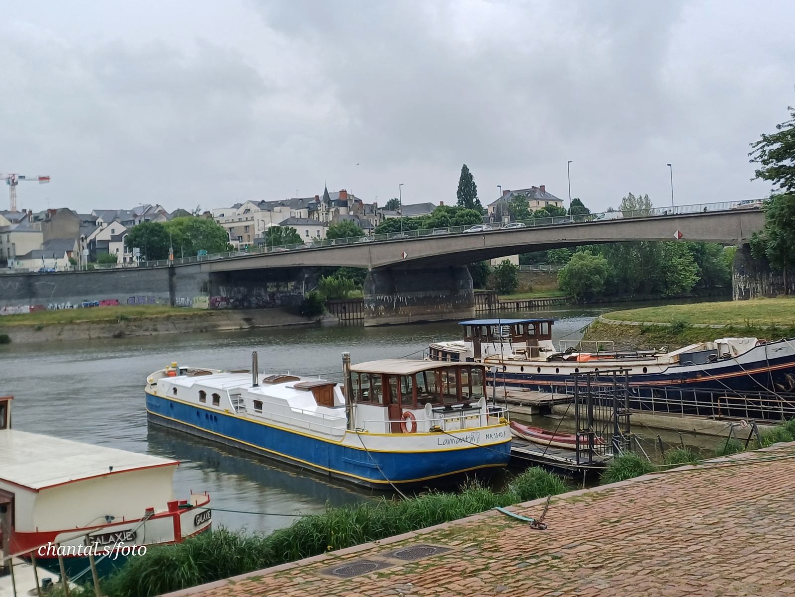Angers 114