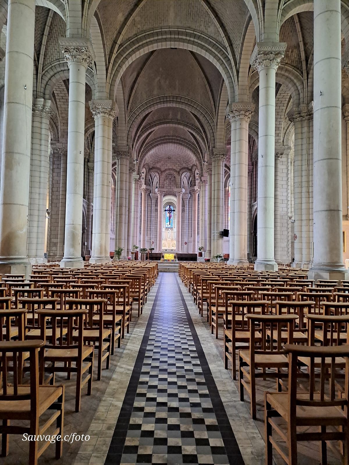 Angers 115