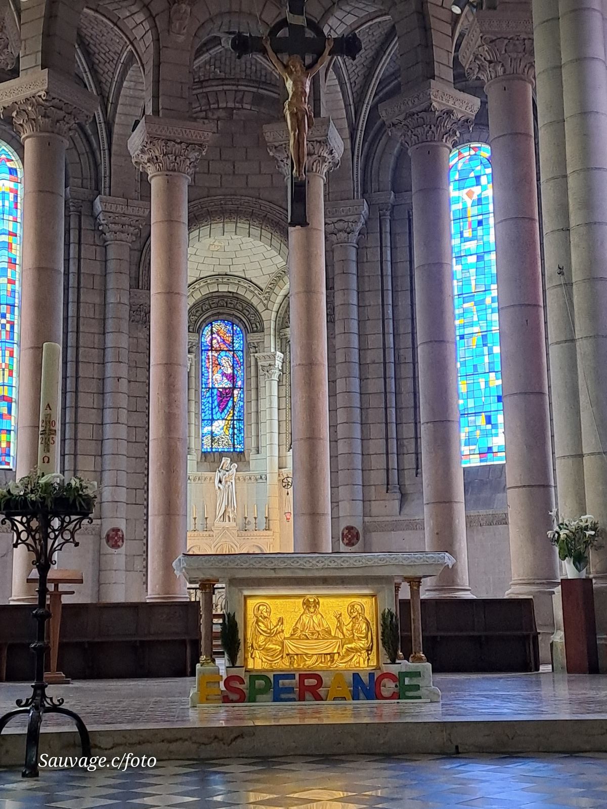 Angers 116
