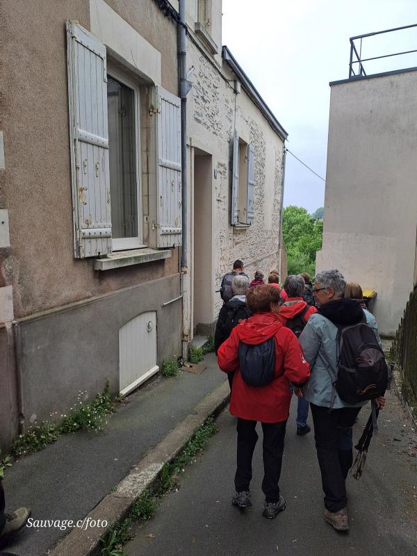 Angers 12