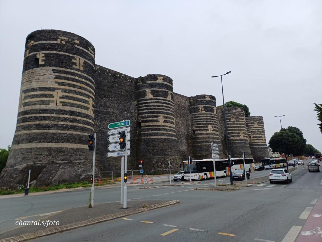 Angers 17