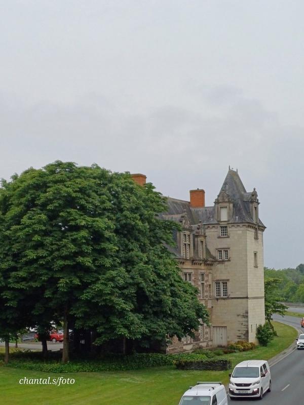 Angers 18