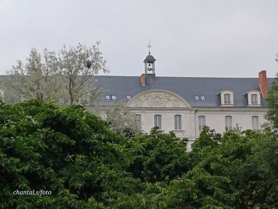 Angers 25