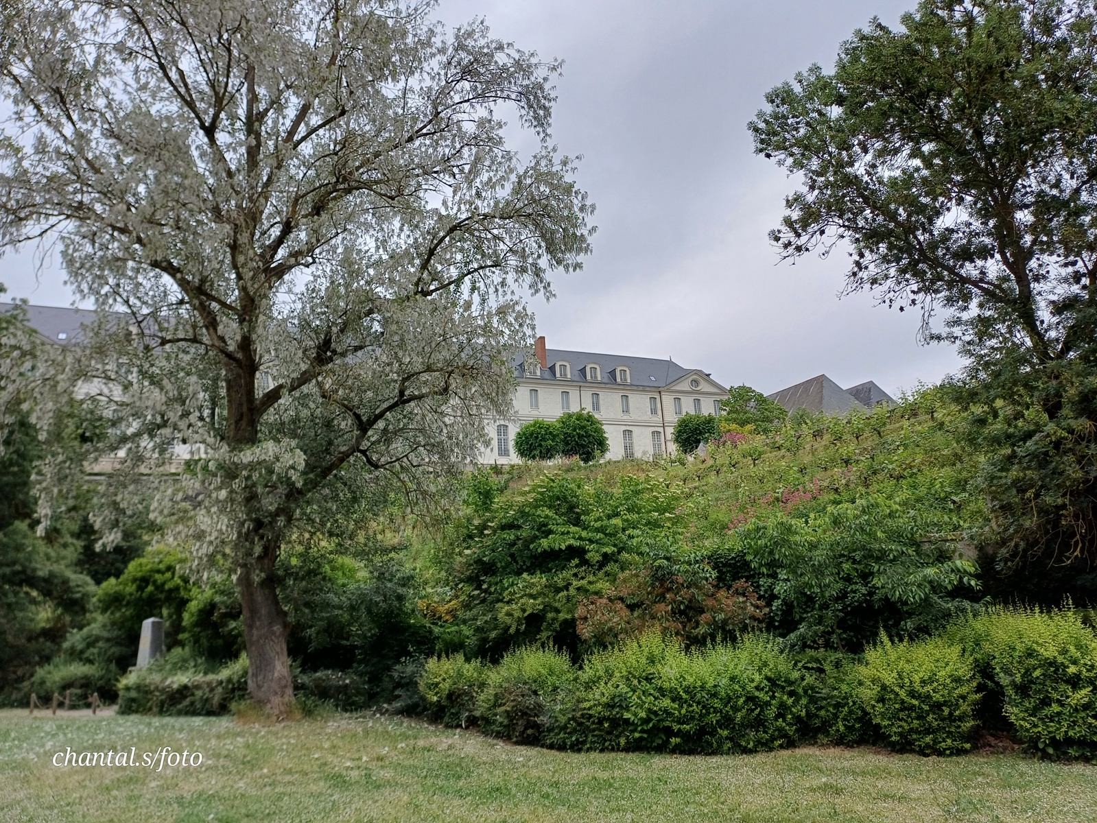 Angers 26