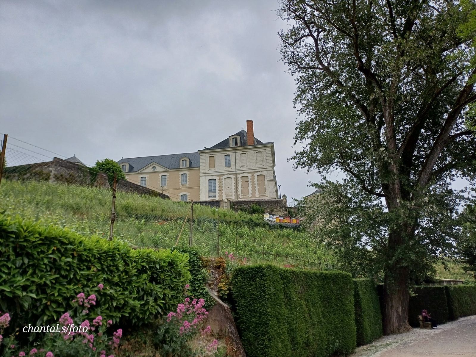 Angers 30