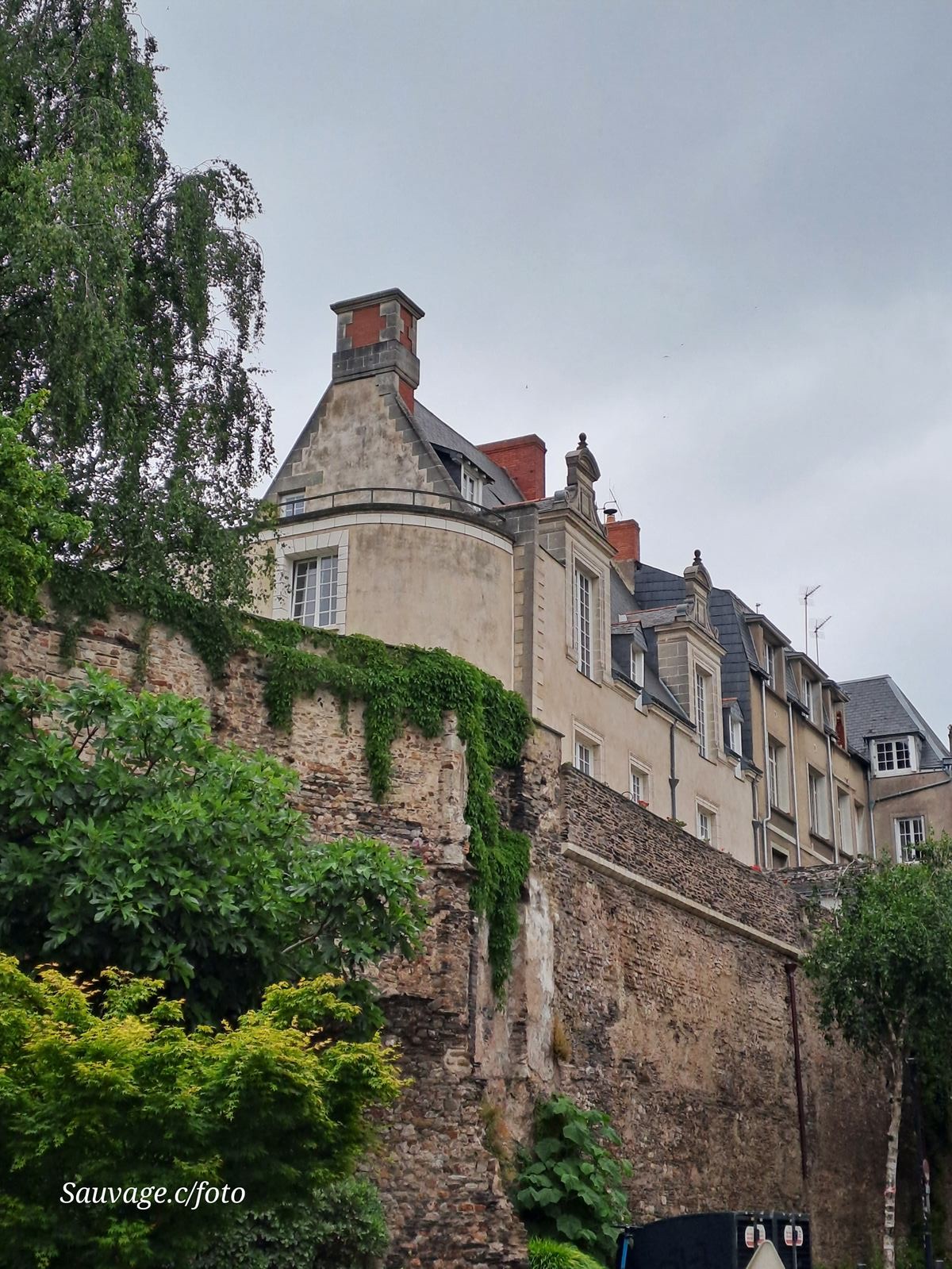 Angers 33