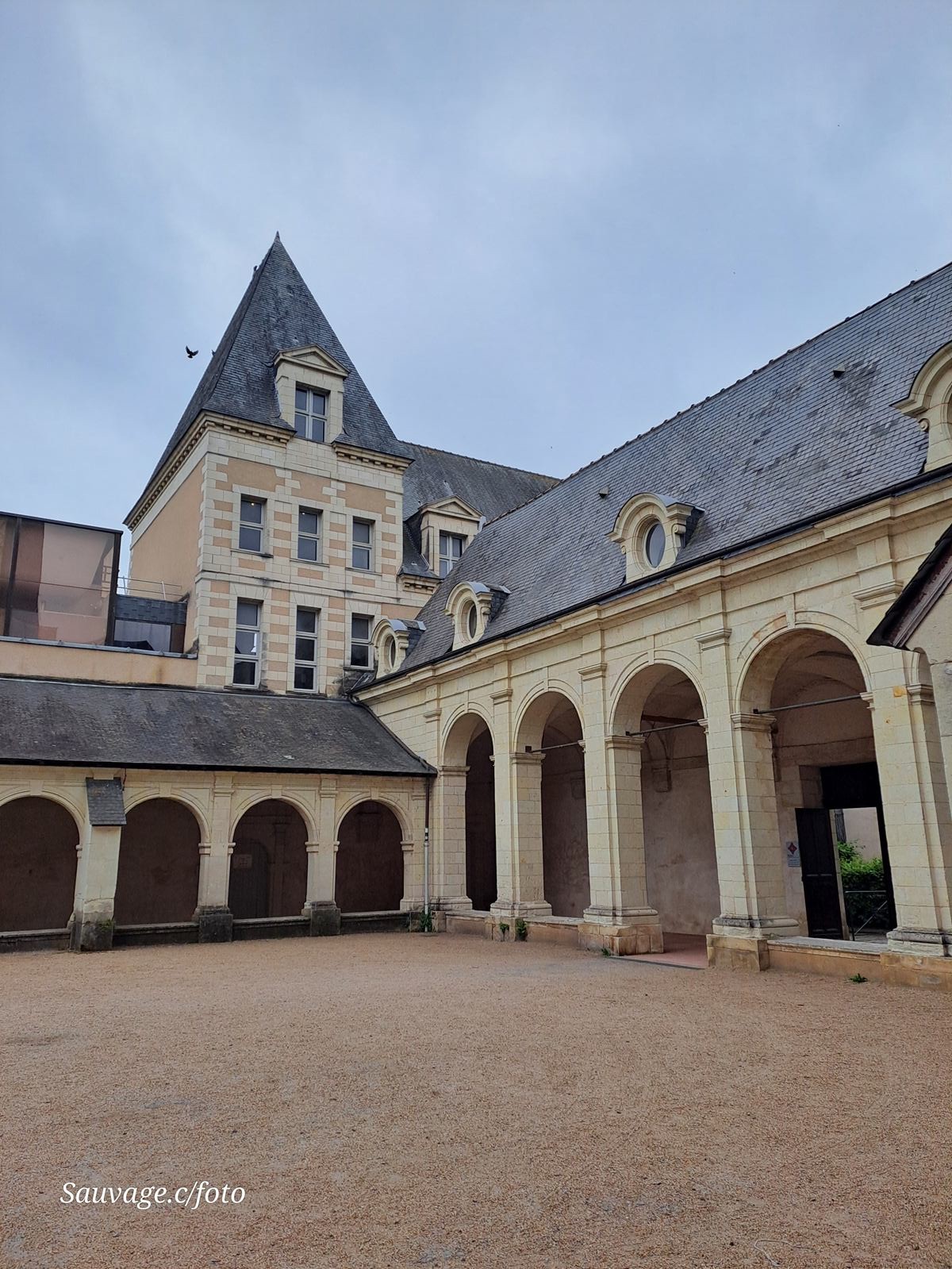 Angers 36
