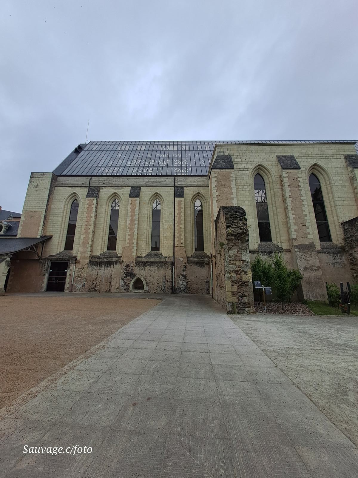 Angers 37