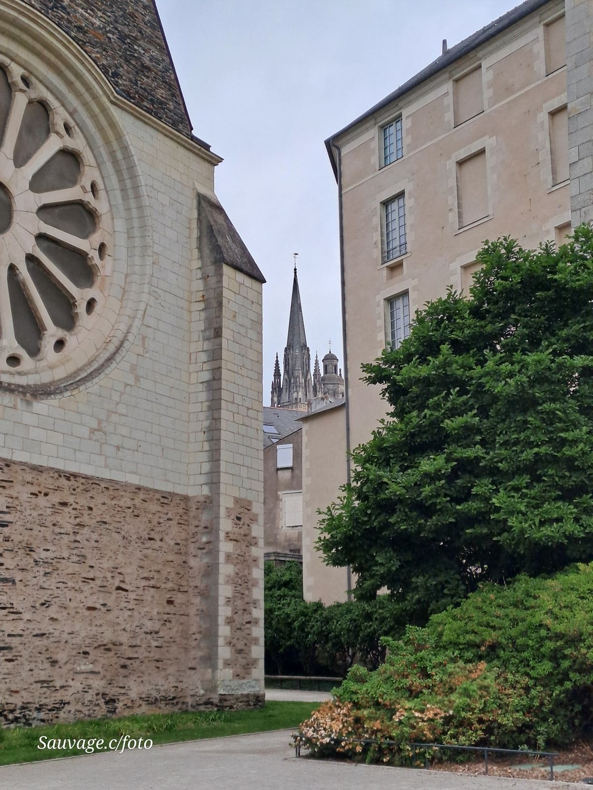Angers 39