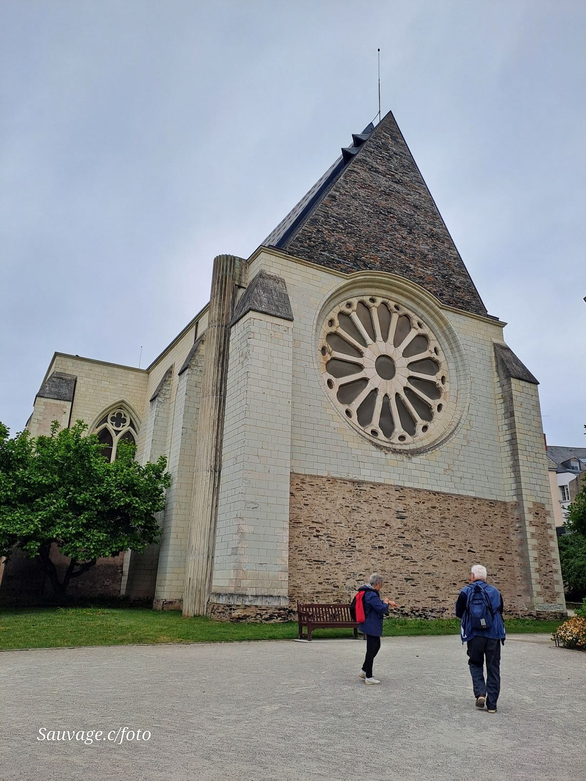 Angers 40