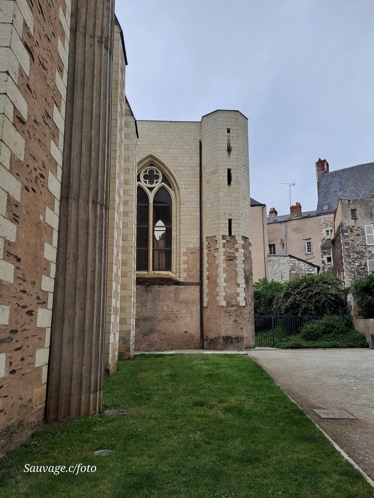 Angers 41