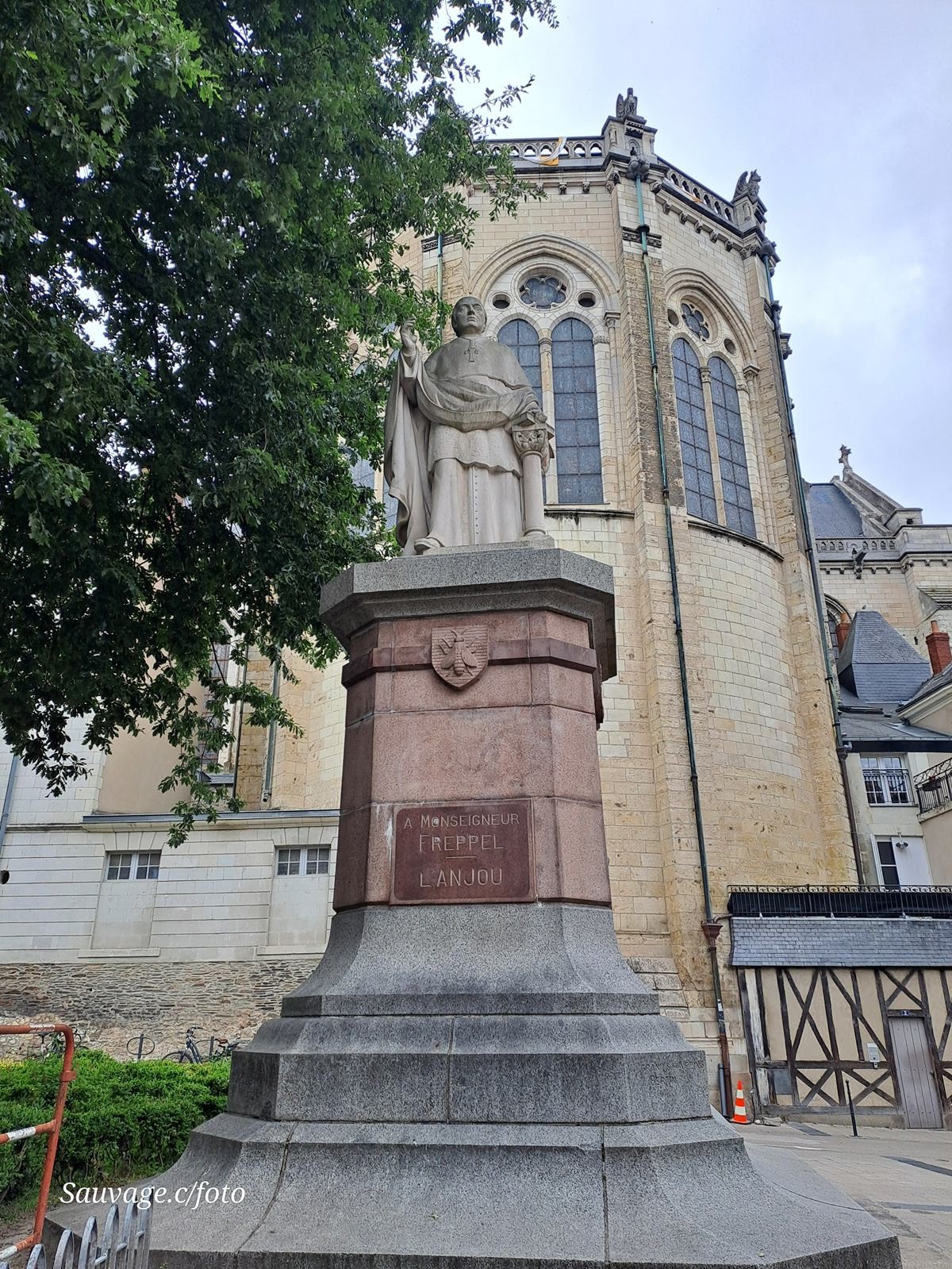 Angers 48