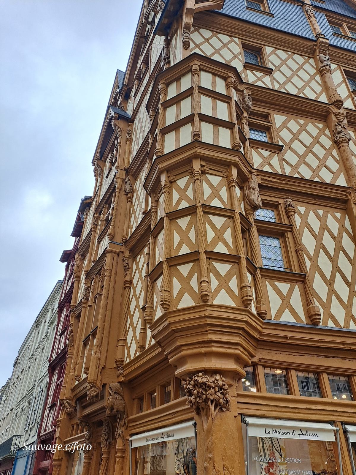 Angers 54
