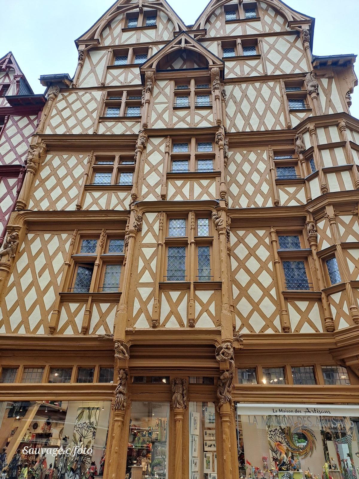 Angers 55