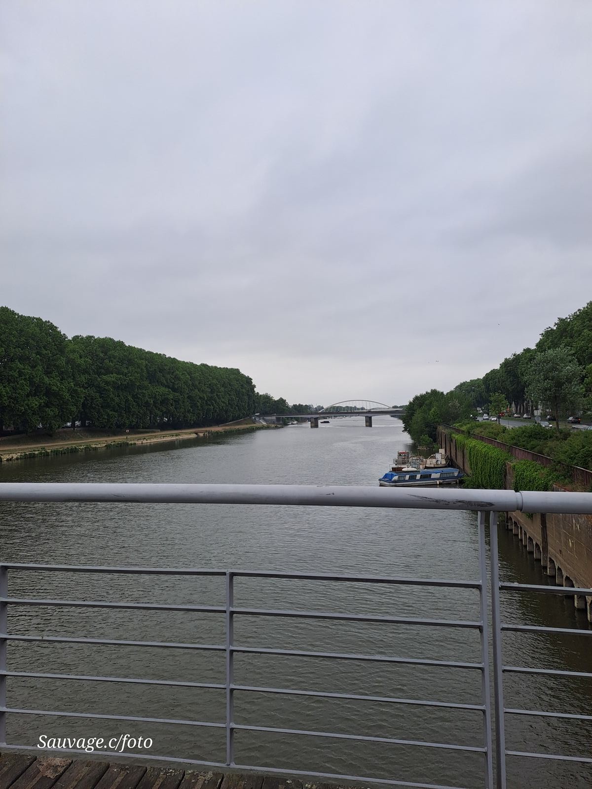 Angers 73