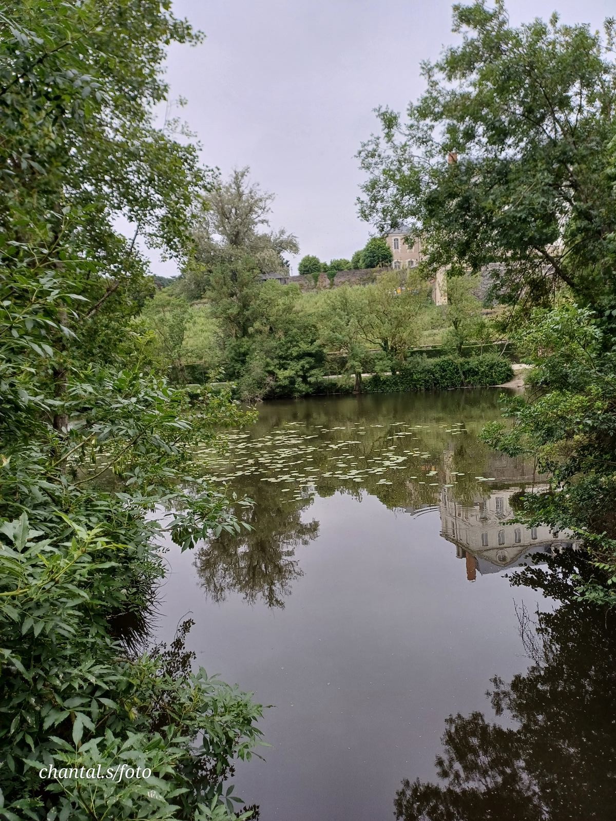 Angers 75