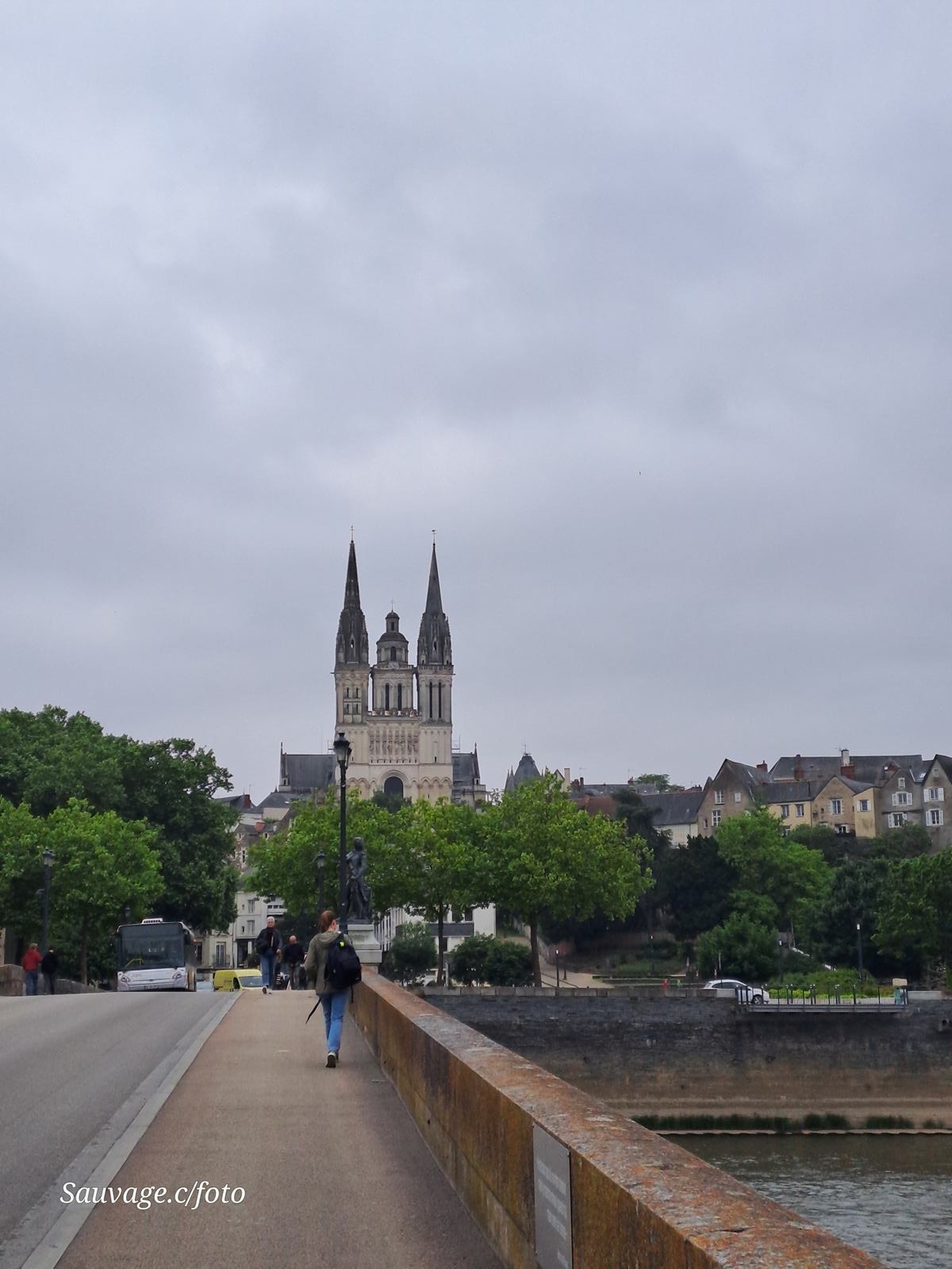 Angers 76