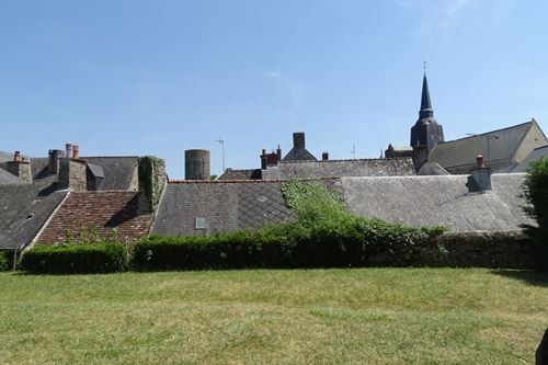 Cs 001242 1