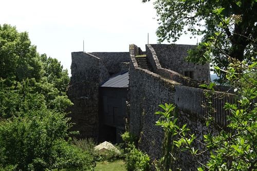 Cs 001247