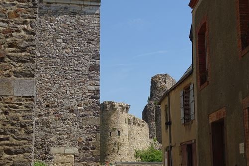 Cs 001249