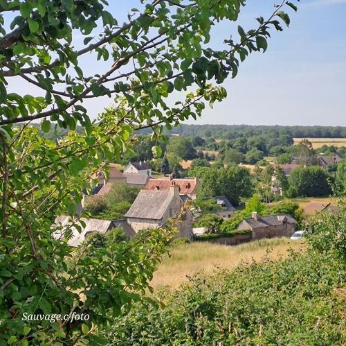 Cs 235728 1