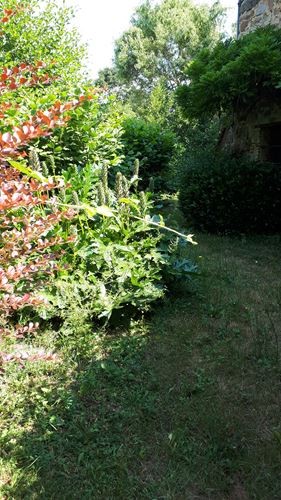 Cs 235744