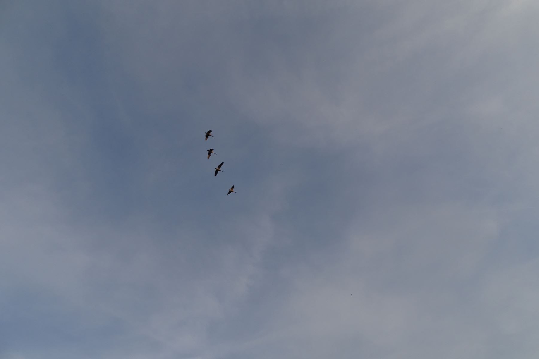 Dsc00057