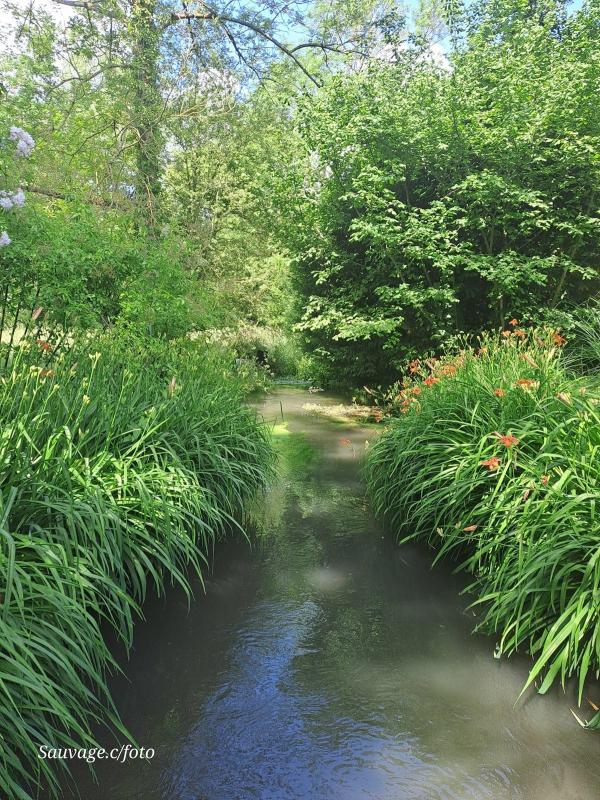 Giverny 003