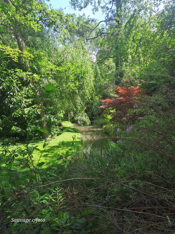 Giverny 006