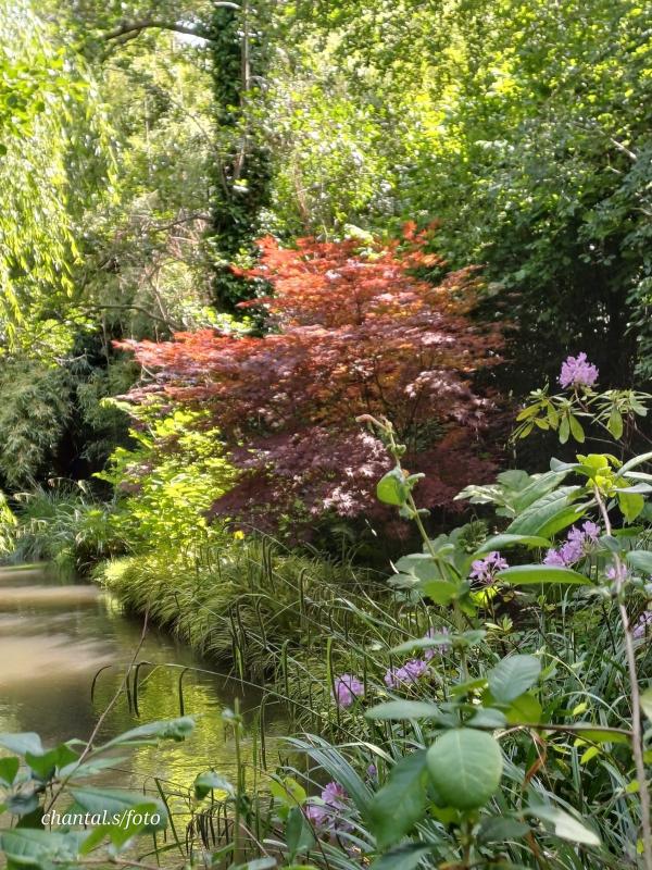Giverny 007