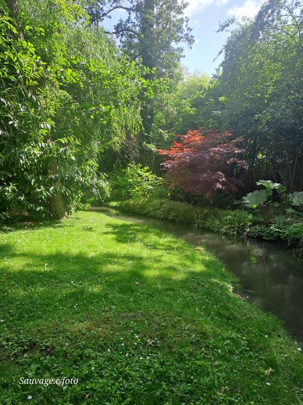 Giverny 008