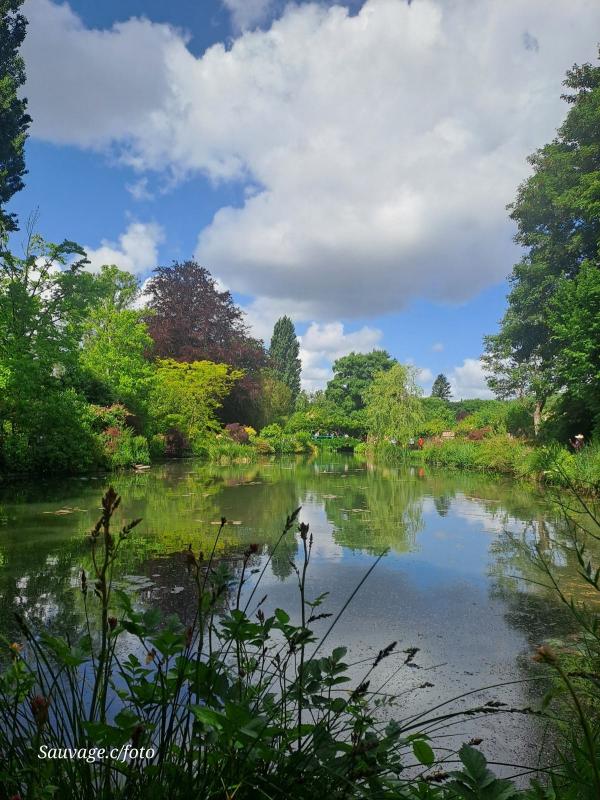 Giverny 009