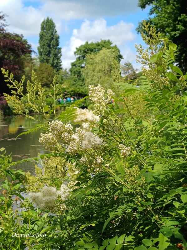 Giverny 012