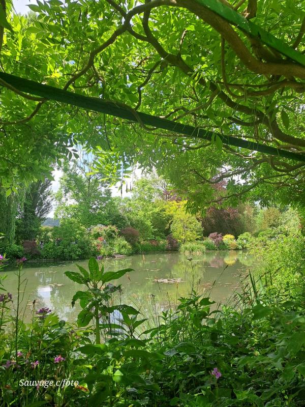 Giverny 014