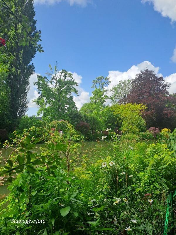 Giverny 017