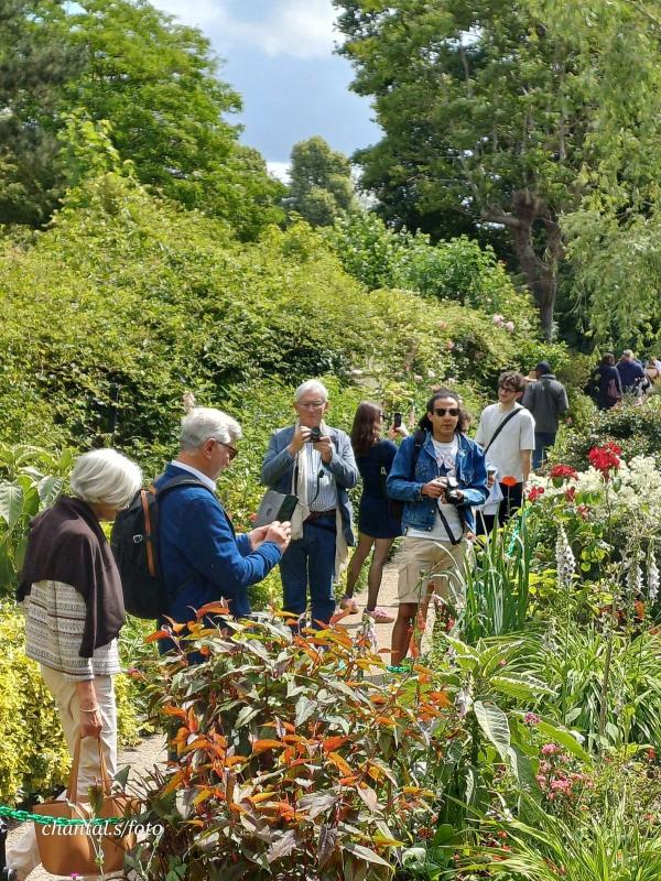 Giverny 029