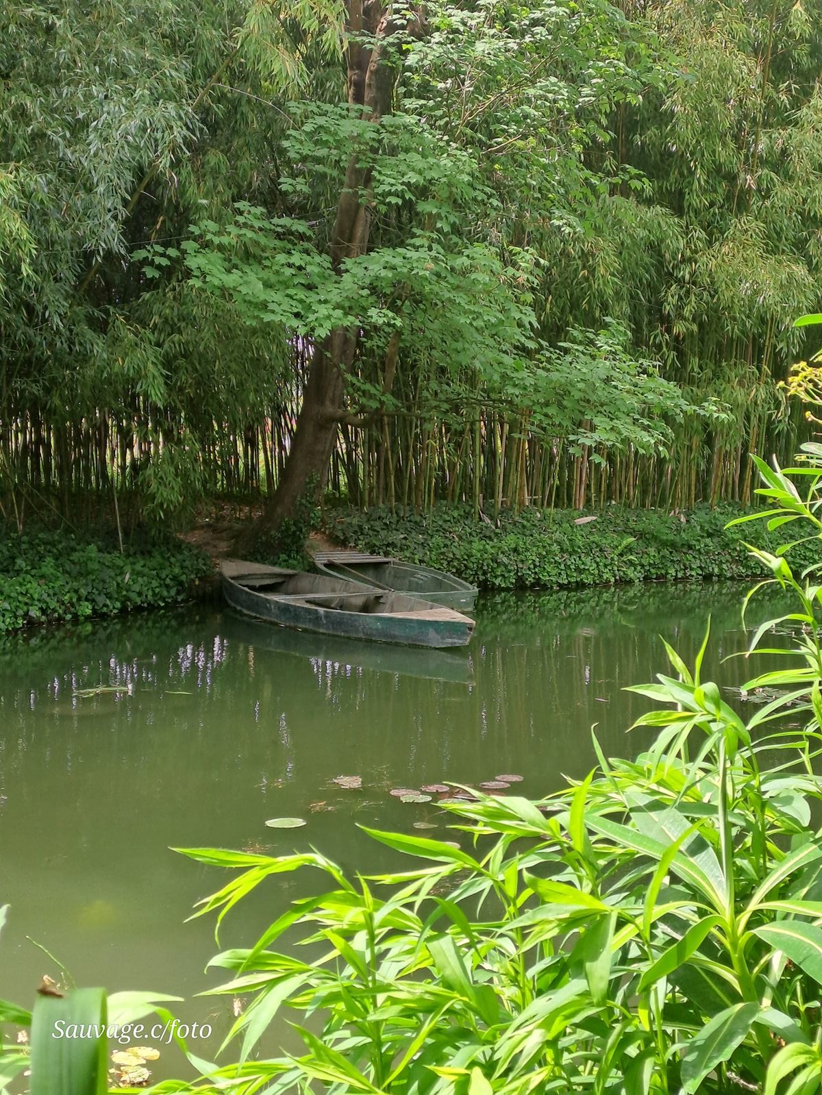 Giverny 030