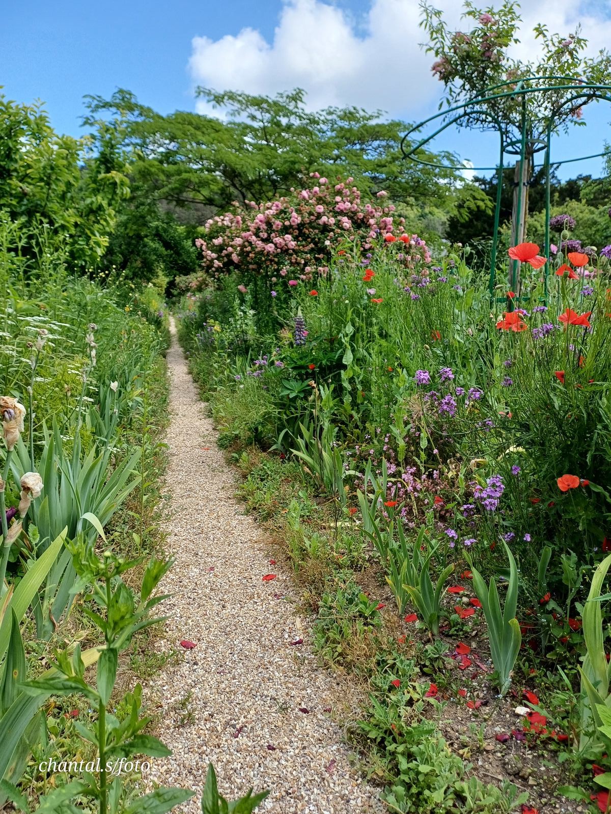 Giverny 034