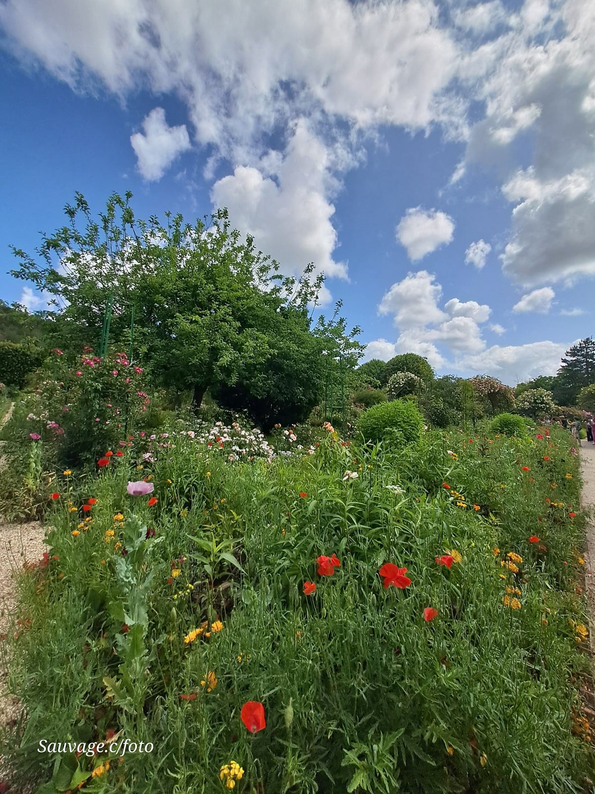 Giverny 036
