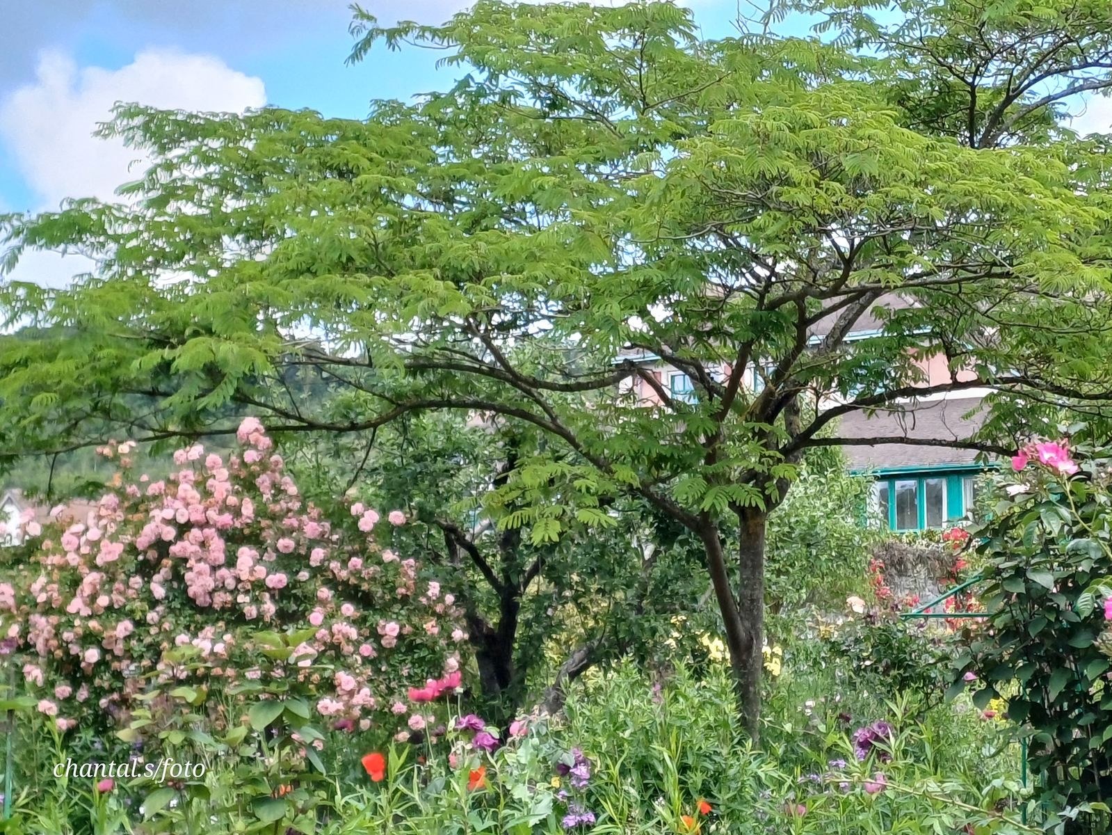 Giverny 039