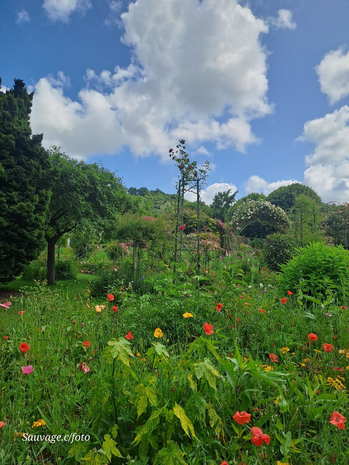 Giverny 041