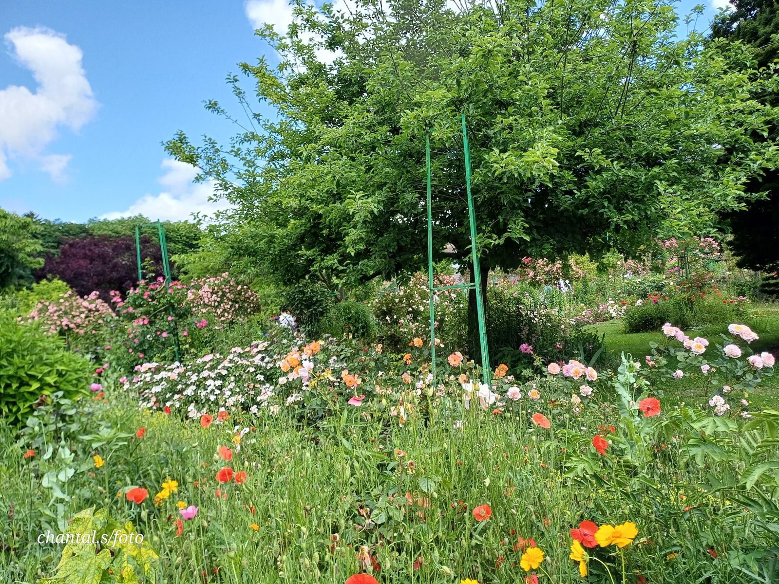 Giverny 045