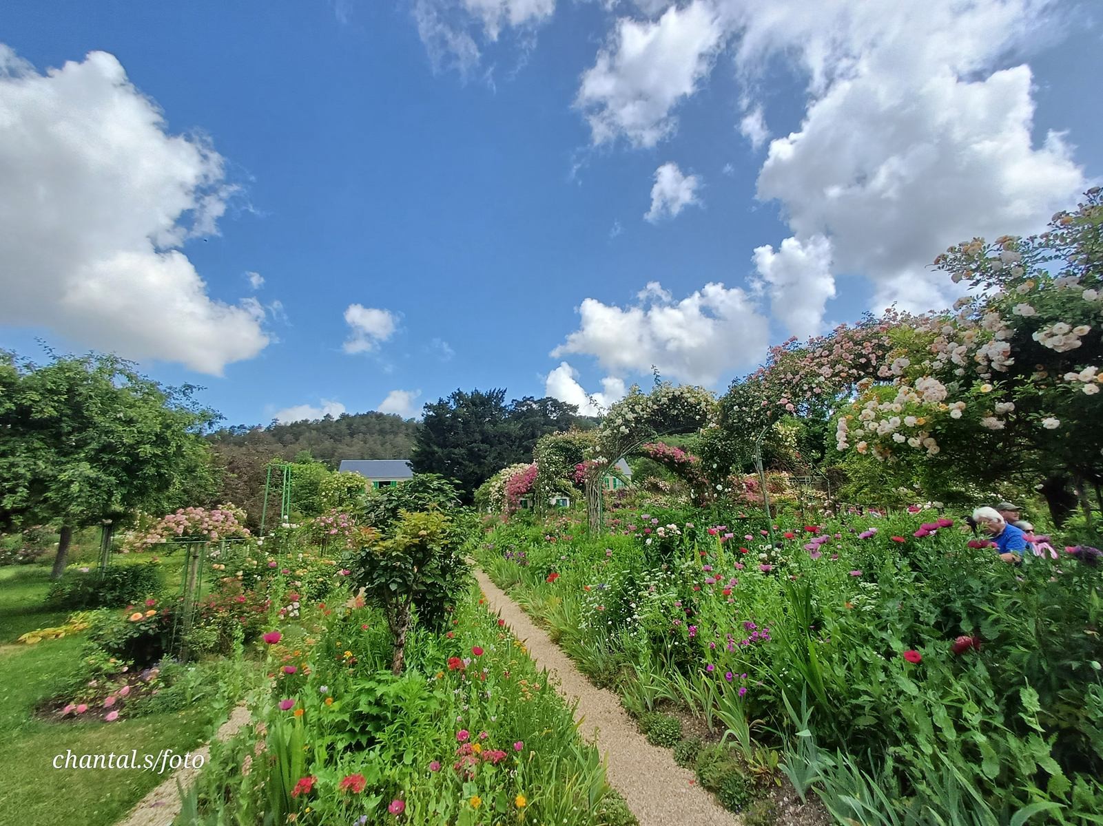 Giverny 046