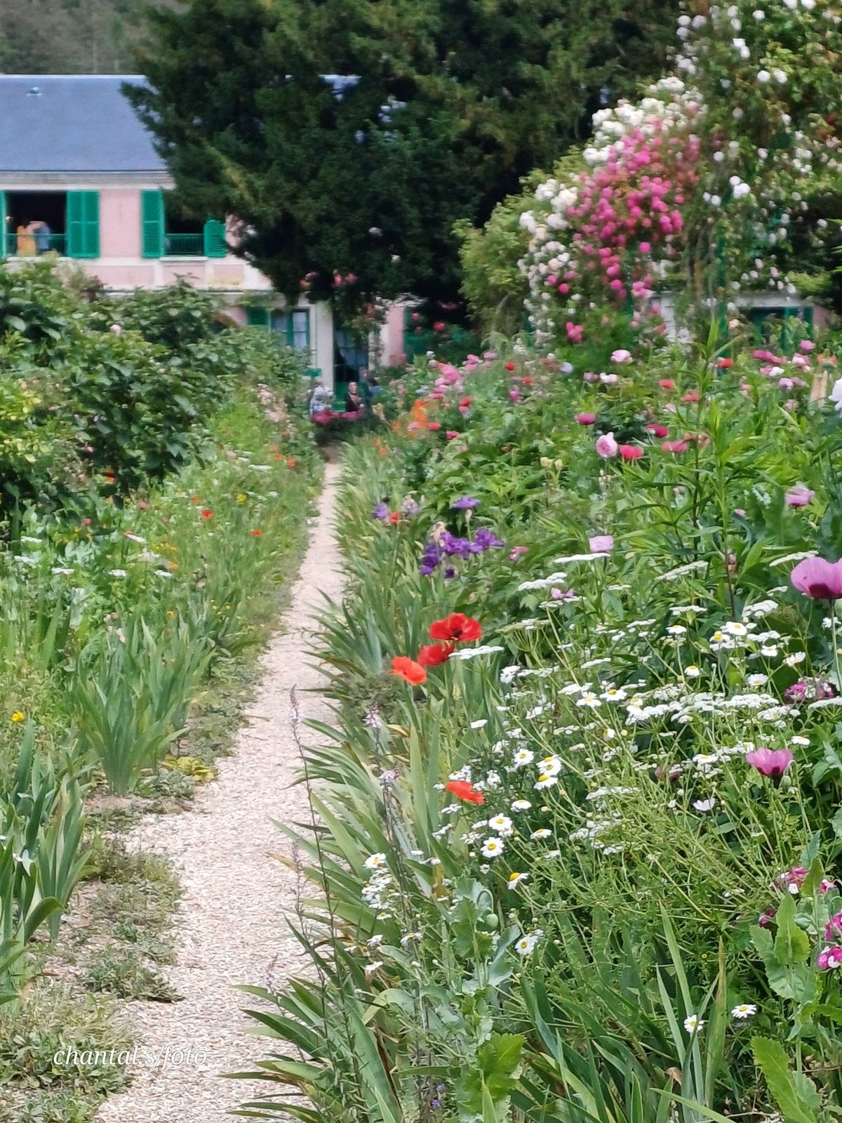 Giverny 049