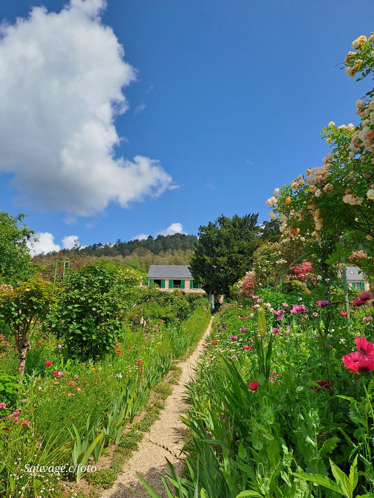 Giverny 051