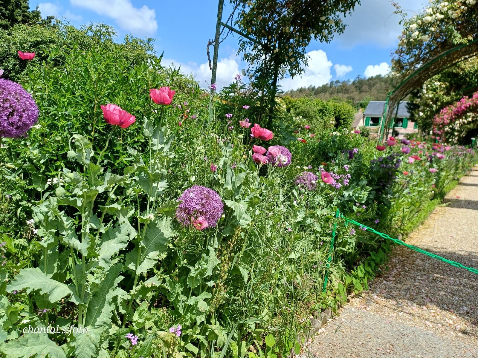 Giverny 056