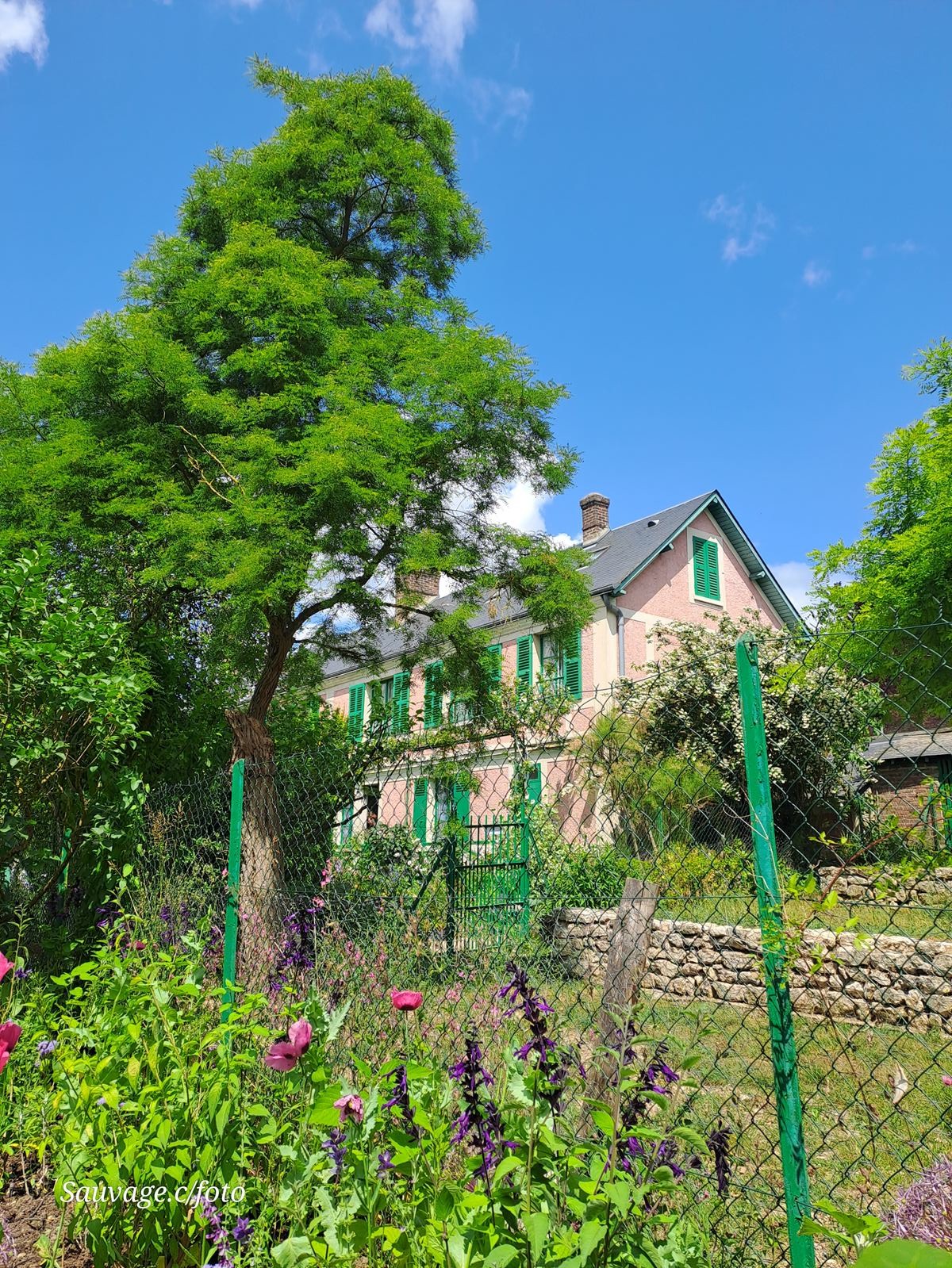 Giverny 067