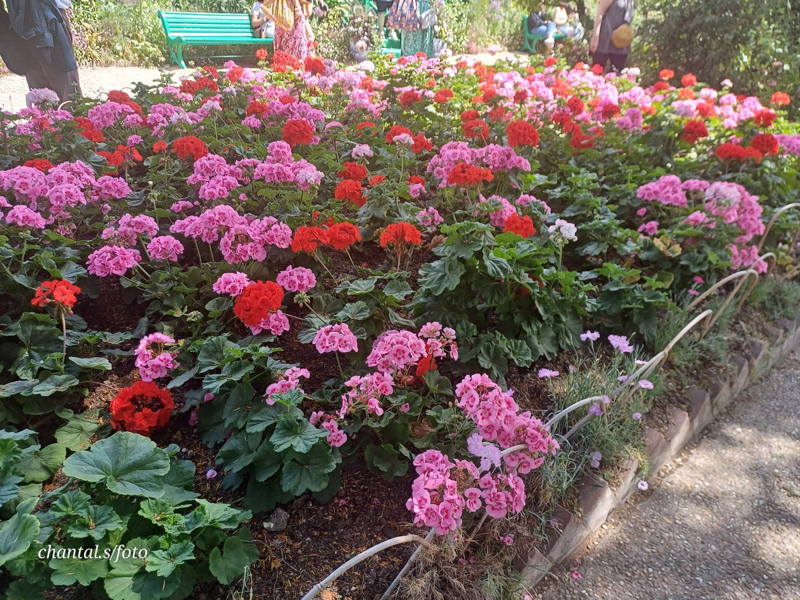 Giverny 070