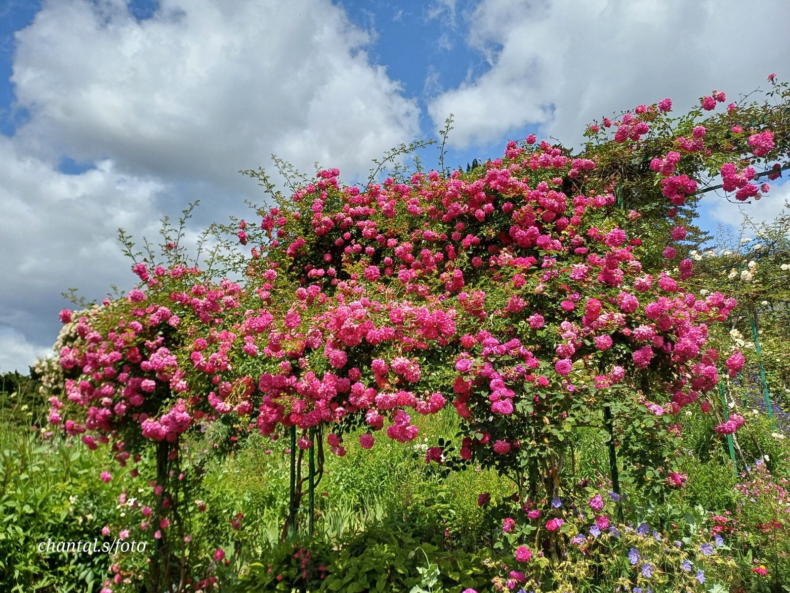 Giverny 079